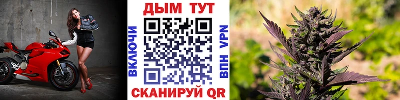 mega ТОР  Видное  МАРИХУАНА VHQ  магазин  наркотиков 